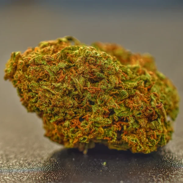 Gallery Thumb Gallery Thumb