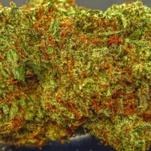 Shop Secondary Image