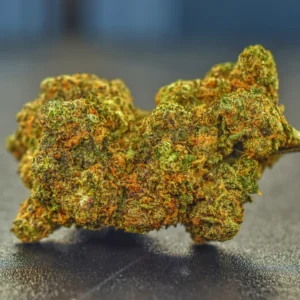 Shop Primary Image Shop Primary Image