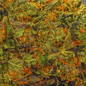 Shop Secondary Image