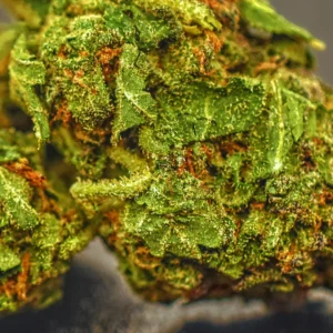 Shop Secondary Image