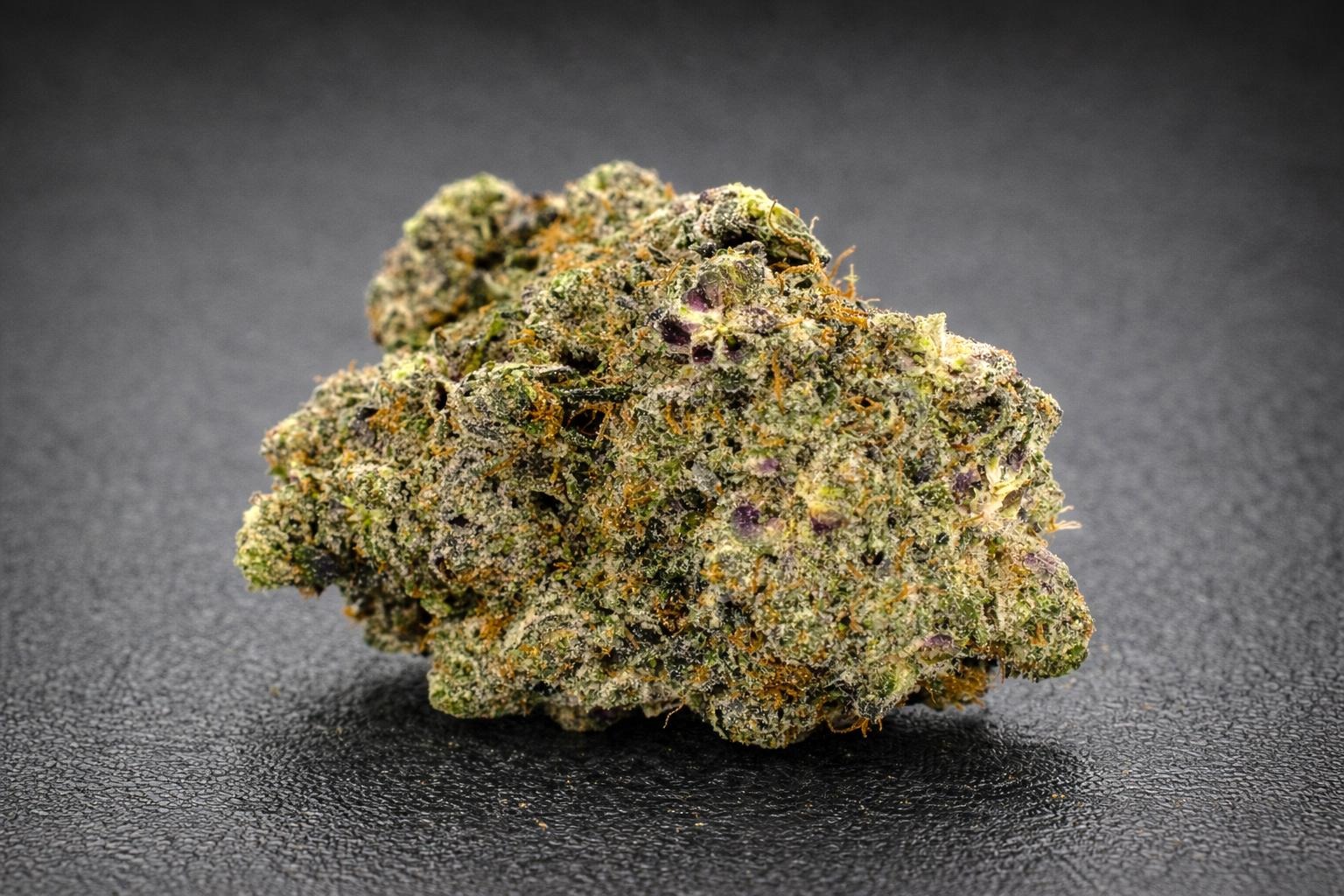 signal-2026-02-17-154424 Bud - Gas Cartel