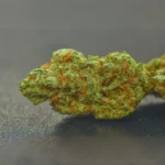 Cream Caramel (Indica) (AAAA)